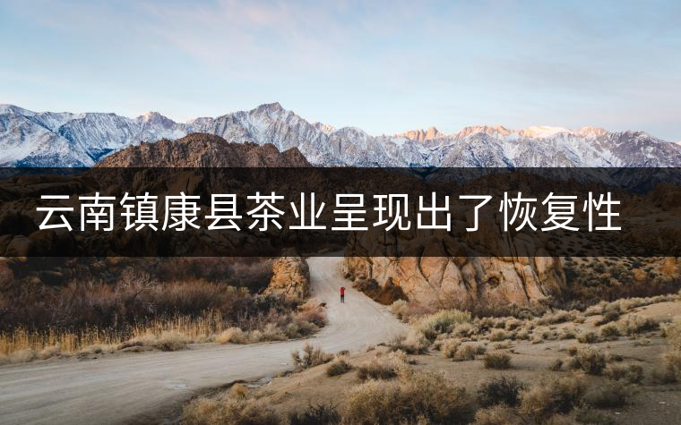 云南鎮(zhèn)康縣茶業(yè)呈現(xiàn)出了恢復(fù)性增長(zhǎng)的態(tài)勢(shì) 云南鎮(zhèn)康縣茶業(yè)呈現(xiàn)出了恢復(fù)性增長(zhǎng)的態(tài)勢(shì)