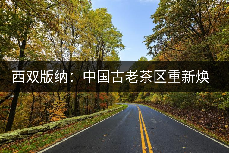 西雙版納：中國(guó)古老茶區(qū)重新煥發(fā)活力