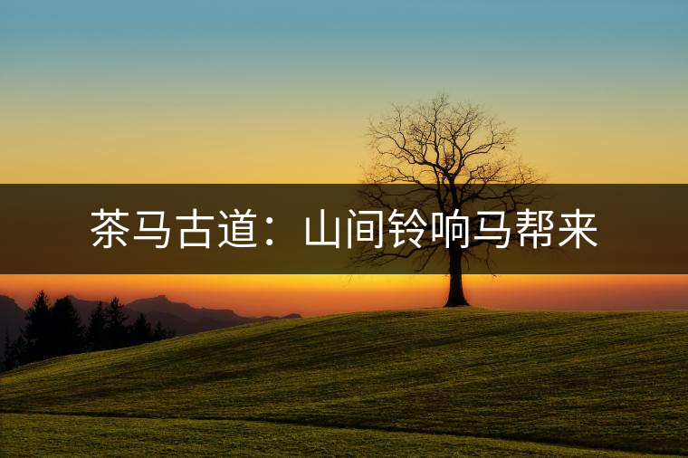 茶馬古道:山間鈴響馬幫來 茶馬古道:山間鈴響馬幫來