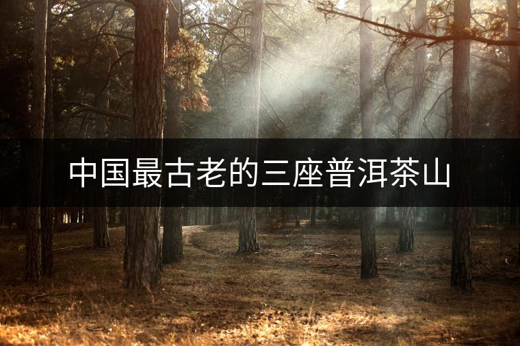 中國最古老的三座普洱茶山 中國最古老的三座普洱茶山