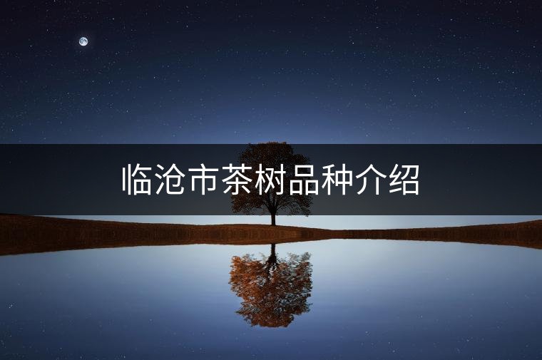 臨滄市茶樹品種介紹