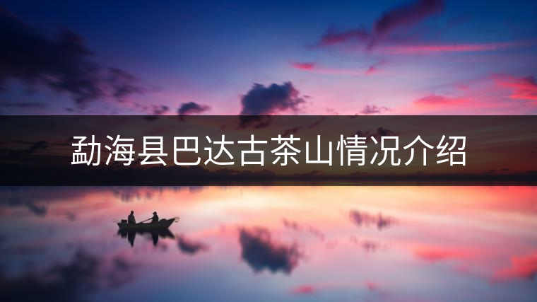 勐?？h巴達古茶山情況介紹