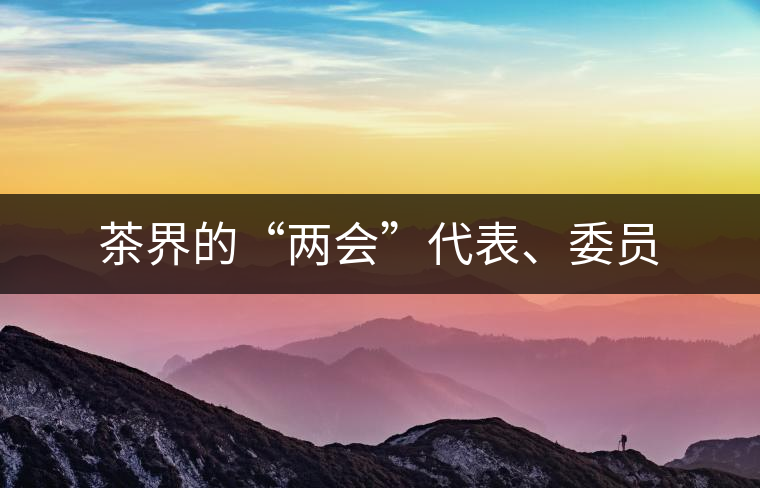 茶界的“兩會”代表、委員