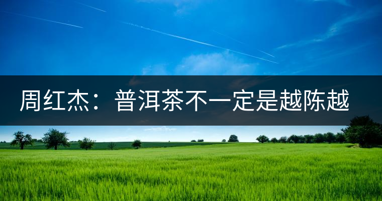周紅杰：普洱茶不一定是越陳越香、越陳越好