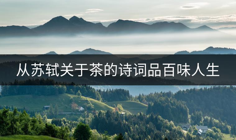 從蘇軾關(guān)于茶的詩(shī)詞品百味人生
