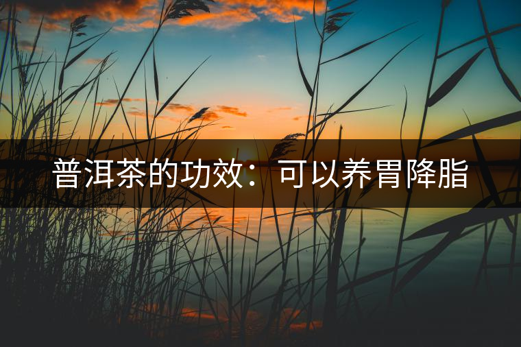 普洱茶的功效:可以養(yǎng)胃降脂 普洱茶的功效:可以養(yǎng)胃降脂