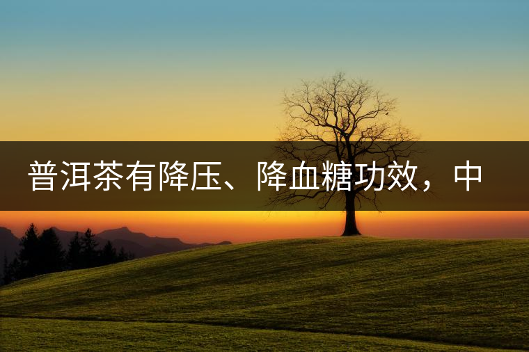 普洱茶有降壓、降血糖功效，中老年人不再懼怕糖尿病