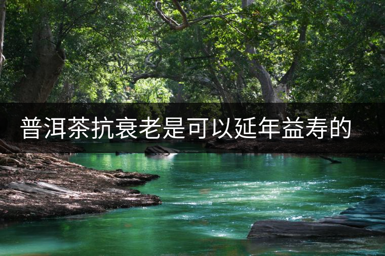 普洱茶抗衰老是可以延年益壽的茶 普洱茶抗衰老是可以延年益壽的茶