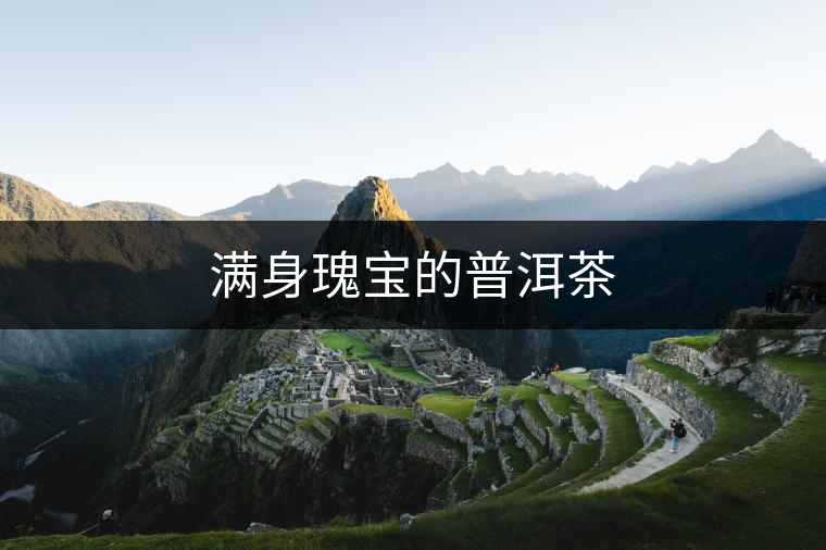 滿(mǎn)身瑰寶的普洱茶