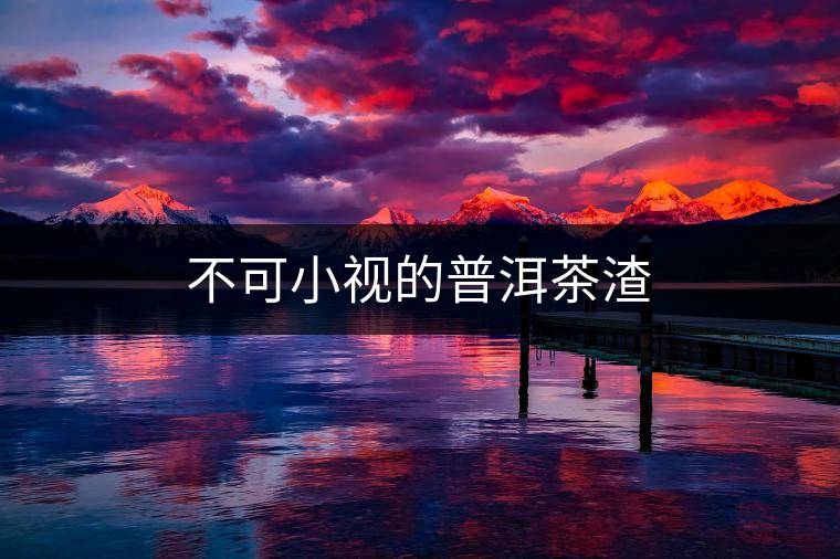 不可小視的普洱茶渣 不可小視的普洱茶渣