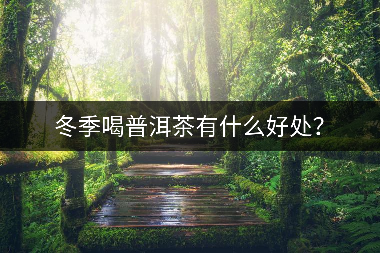 冬季喝普洱茶有什么好處？