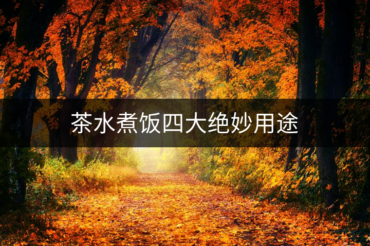 茶水煮飯四大絕妙用途 茶水煮飯四大絕妙用途