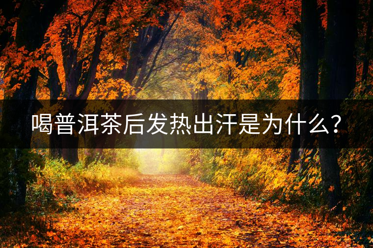 喝普洱茶后發(fā)熱出汗是為什么？