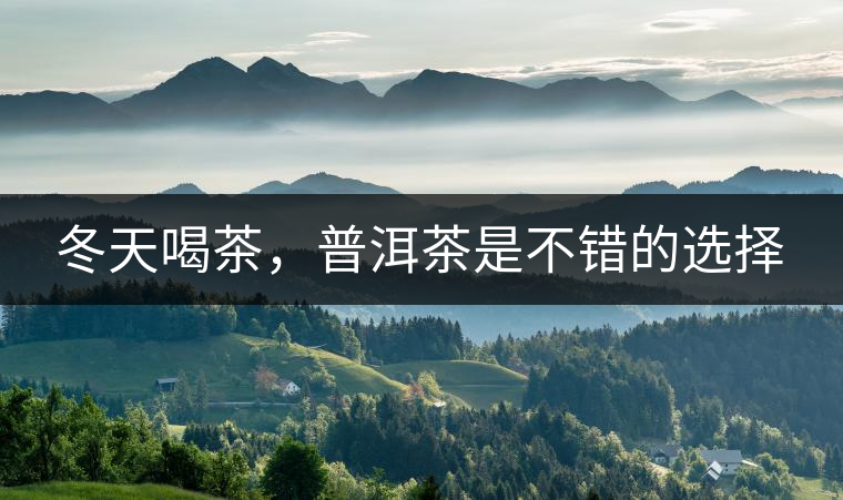 冬天喝茶，普洱茶是不錯的選擇