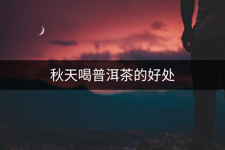 秋天喝普洱茶的好處 秋天喝普洱茶的好處