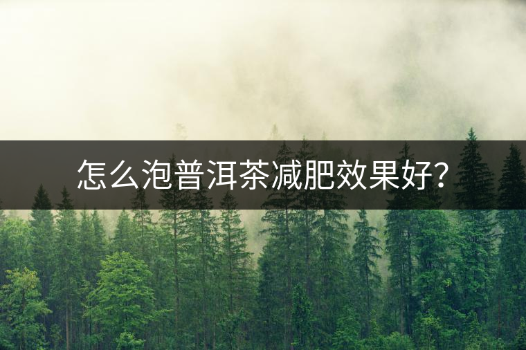 怎么泡普洱茶減肥效果好？