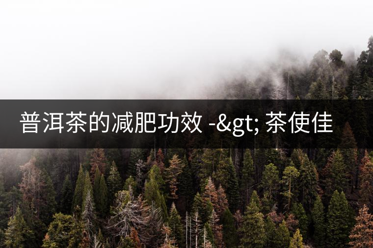 普洱茶的減肥功效 -> 茶使佳人更苗條