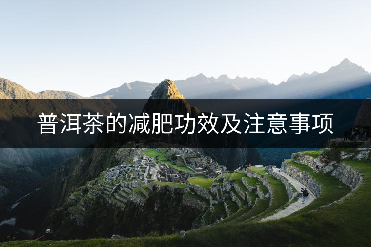 普洱茶的減肥功效及注意事項 普洱茶的減肥功效及注意事項