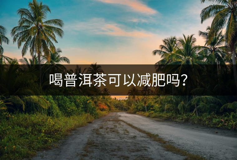 喝普洱茶可以減肥嗎？