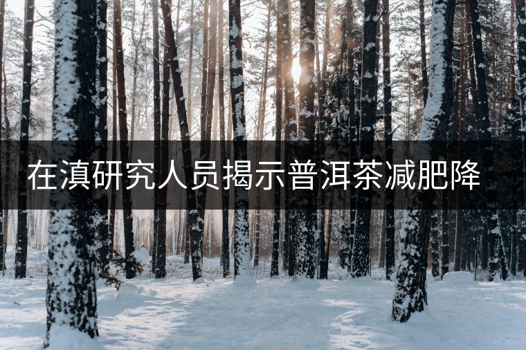 在滇研究人員揭示普洱茶減肥降脂機(jī)制