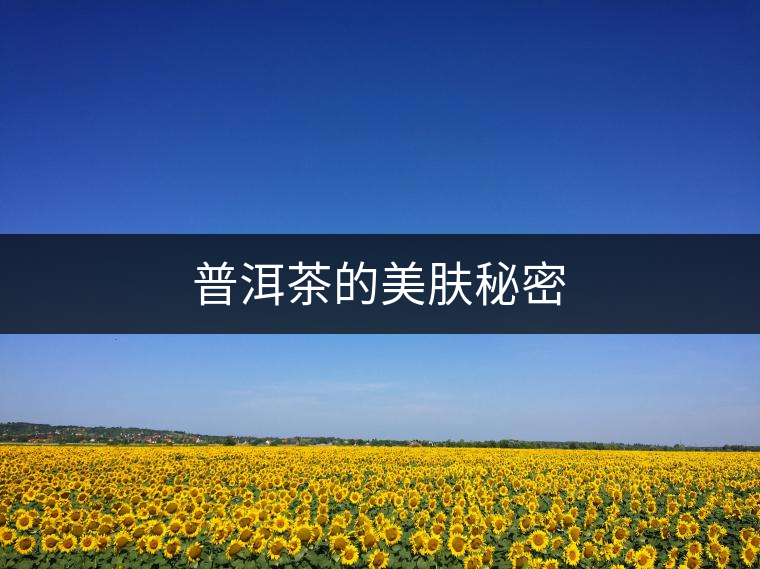 普洱茶的美膚秘密 普洱茶的美膚秘密