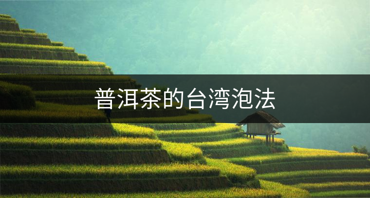 普洱茶的臺灣泡法 普洱茶的臺灣泡法