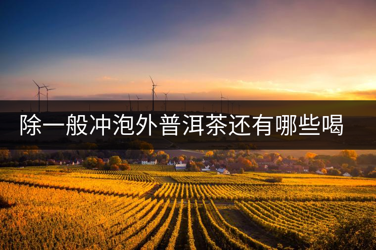 除一般沖泡外普洱茶還有哪些喝法？