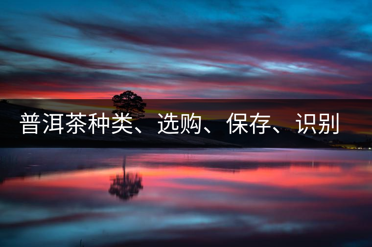 普洱茶種類、選購(gòu)、保存、識(shí)別、沖泡