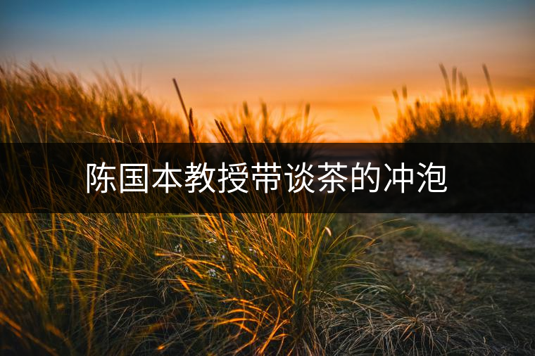 陳國本教授帶談茶的沖泡