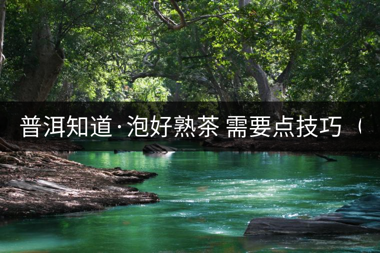 普洱知道·泡好熟茶 需要點技巧（3）