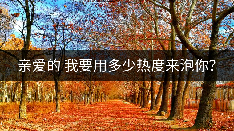 親愛的 我要用多少熱度來泡你？