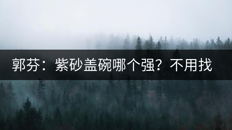 郭芬：紫砂蓋碗哪個(gè)強(qiáng)？不用找藍(lán)翔