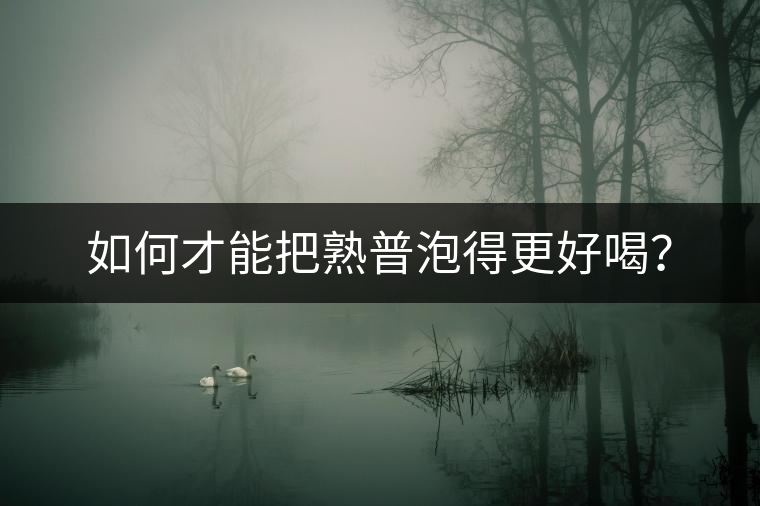 如何才能把熟普泡得更好喝？