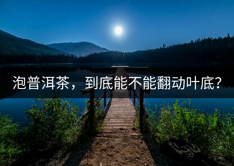 泡普洱茶，到底能不能翻動葉底？