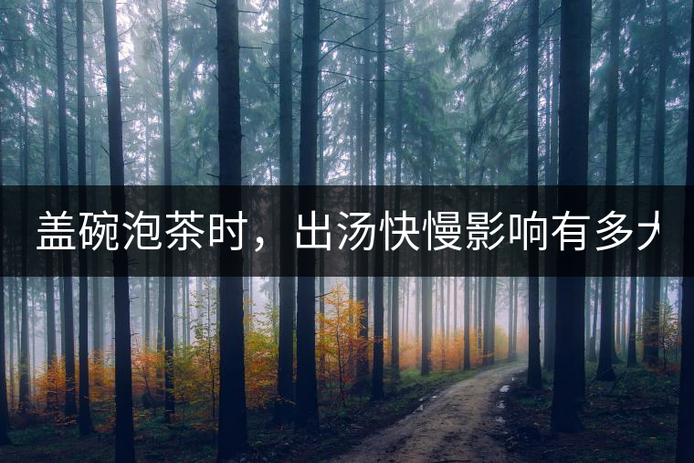 蓋碗泡茶時，出湯快慢影響有多大？