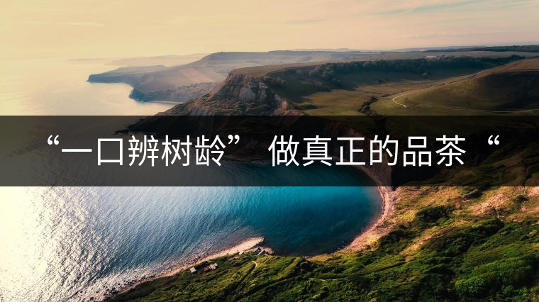 “一口辨樹齡” 做真正的品茶“大師”！