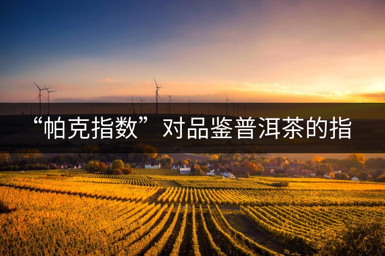 “帕克指數(shù)”對(duì)品鑒普洱茶的指導(dǎo)意義在哪里？「跨界有道」