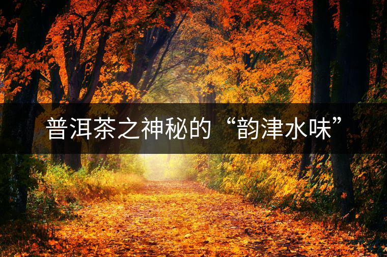 普洱茶之神秘的“韻津水味” 普洱茶之神秘的“韻津水味”