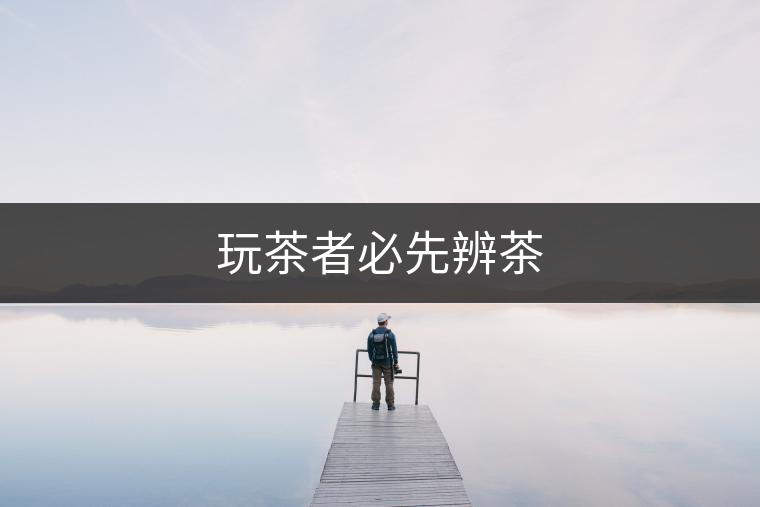 玩茶者必先辨茶