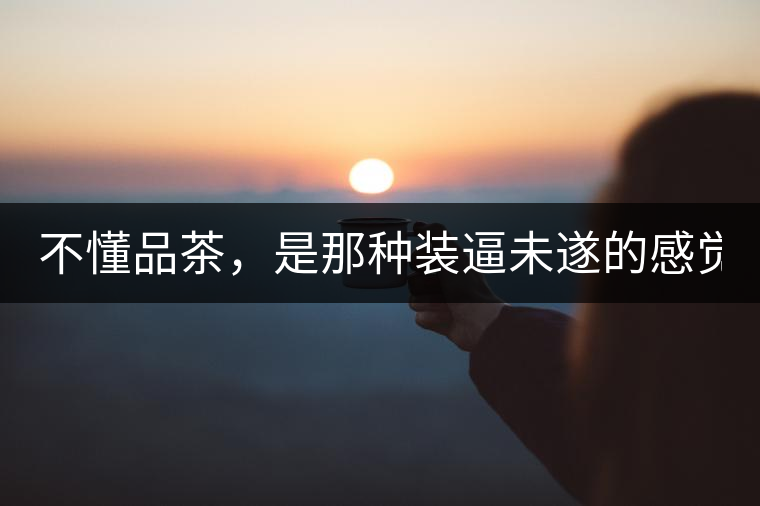 不懂品茶，是那種裝逼未遂的感覺(jué)？