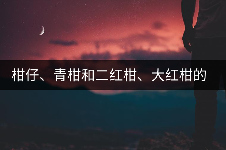 柑仔、青柑和二紅柑、大紅柑的區(qū)別，你可知道？