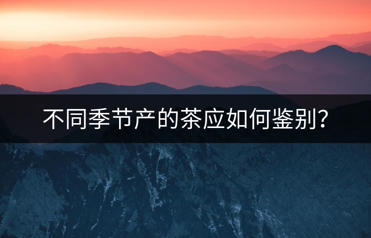 不同季節(jié)產的茶應如何鑒別？