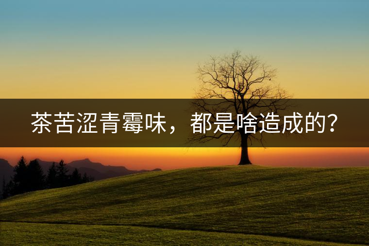 茶苦澀青霉味，都是啥造成的？