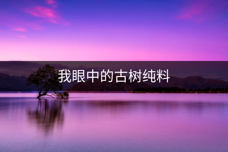 我眼中的古樹(shù)純料