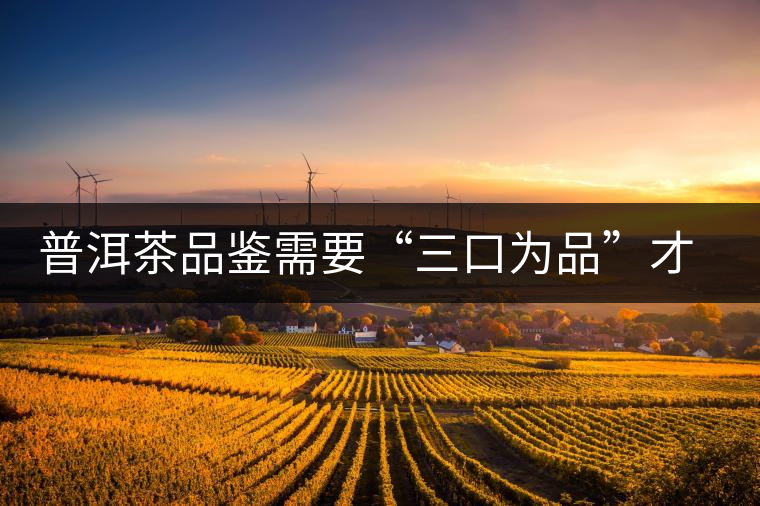 普洱茶品鑒需要“三口為品”才真實(shí)，那從哪里入手品鑒呢？