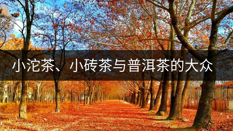 小沱茶、小磚茶與普洱茶的大眾化之路