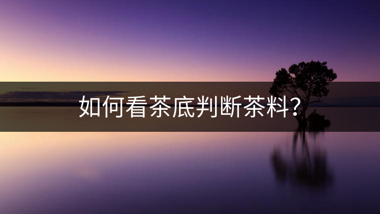 如何看茶底判斷茶料？