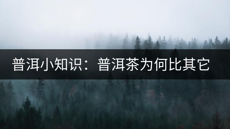 普洱小知識(shí)：普洱茶為何比其它茶葉耐泡？