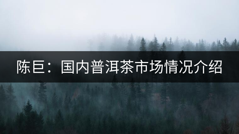 陳巨：國內(nèi)普洱茶市場情況介紹