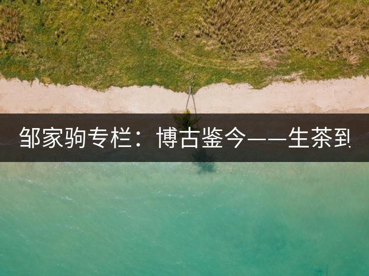 鄒家駒專欄：博古鑒今——生茶到底是不是普洱茶？